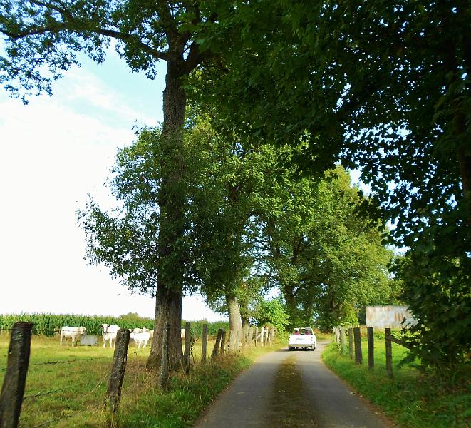 Benelux Toer 22 en 23-9-2012 (294).JPG